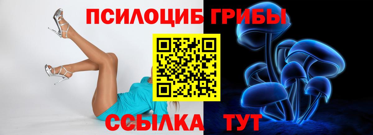 Белгород  Псилоцибиновые грибы Psilocybe  Вход с VPN 